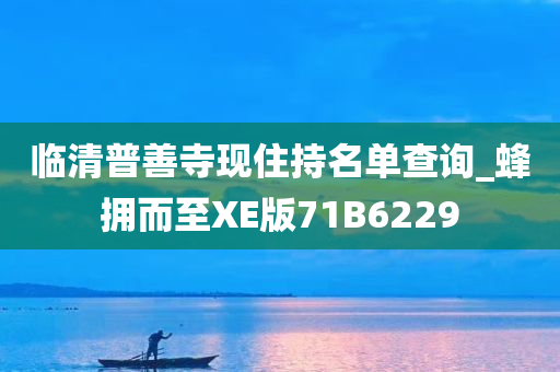 临清普善寺现住持名单查询_蜂拥而至XE版71B6229