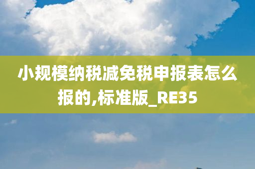 小规模纳税减免税申报表怎么报的,标准版_RE35