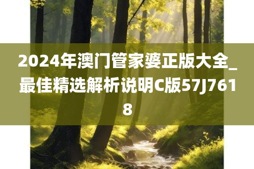 2024年澳门管家婆正版大全_最佳精选解析说明C版57J7618