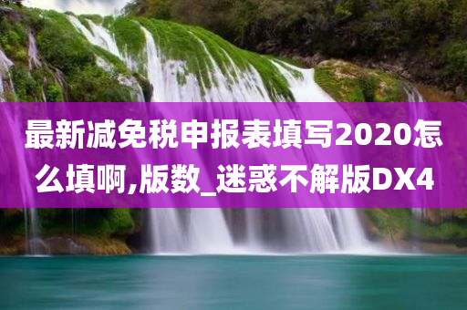 最新减免税申报表填写2020怎么填啊,版数_迷惑不解版DX4