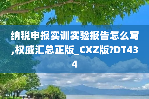 纳税申报实训实验报告怎么写,权威汇总正版_CXZ版?DT434