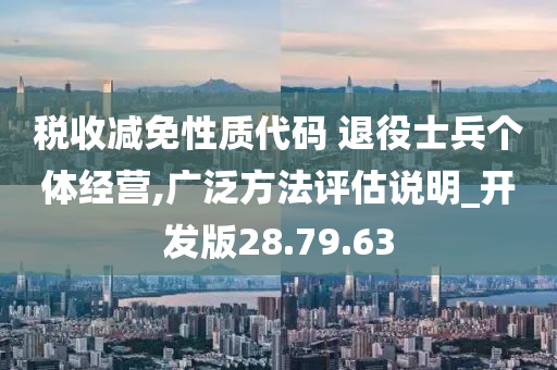 税收减免性质代码 退役士兵个体经营,广泛方法评估说明_开发版28.79.63