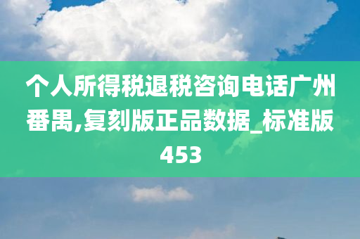 个人所得税退税咨询电话广州番禺,复刻版正品数据_标准版453