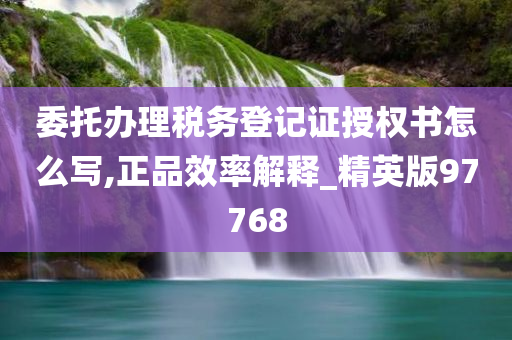 委托办理税务登记证授权书怎么写,正品效率解释_精英版97768