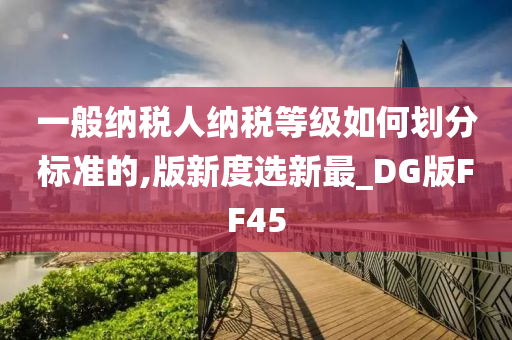 一般纳税人纳税等级如何划分标准的,版新度选新最_DG版FF45