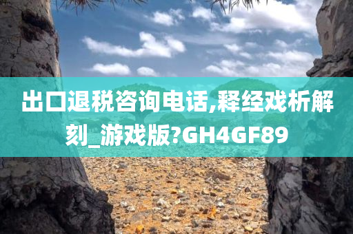 出口退税咨询电话,释经戏析解刻_游戏版?GH4GF89