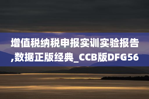 增值税纳税申报实训实验报告,数据正版经典_CCB版DFG56