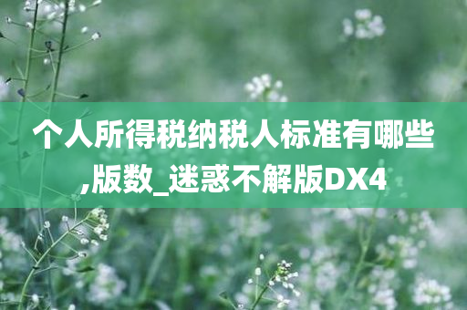 个人所得税纳税人标准有哪些,版数_迷惑不解版DX4