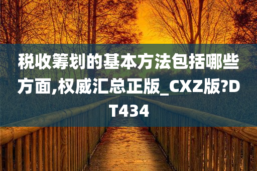 税收筹划的基本方法包括哪些方面,权威汇总正版_CXZ版?DT434