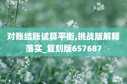 对账结账试算平衡,挑战版解释落实_复刻版657687