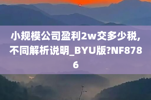 小规模公司盈利2w交多少税,不同解析说明_BYU版?NF8786