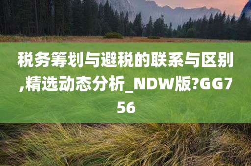 税务筹划与避税的联系与区别,精选动态分析_NDW版?GG756