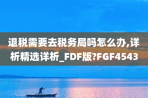 退税需要去税务局吗怎么办,详析精选详析_FDF版?FGF4543