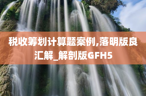 税收筹划计算题案例,落明版良汇解_解剖版GFH5