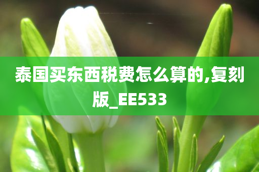 泰国买东西税费怎么算的,复刻版_EE533