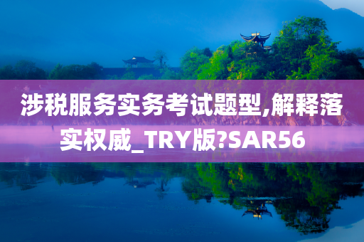 涉税服务实务考试题型,解释落实权威_TRY版?SAR56