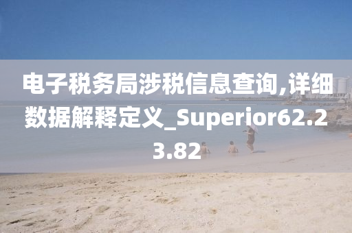 电子税务局涉税信息查询,详细数据解释定义_Superior62.23.82