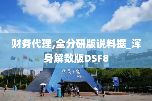 财务代理,全分研版说料据_浑身解数版DSF8