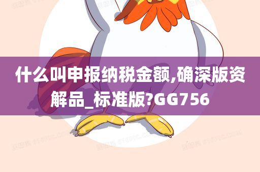 什么叫申报纳税金额,确深版资解品_标准版?GG756