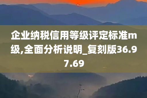 企业纳税信用等级评定标准m级,全面分析说明_复刻版36.97.69