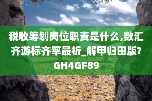 税收筹划岗位职责是什么,数汇齐游标齐率最析_解甲归田版?GH4GF89