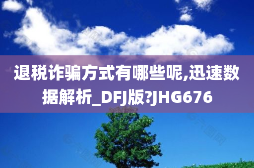 退税诈骗方式有哪些呢,迅速数据解析_DFJ版?JHG676