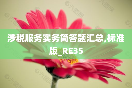 涉税服务实务简答题汇总,标准版_RE35