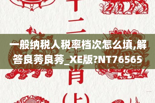 一般纳税人税率档次怎么填,解答良莠良莠_XE版?NT76565