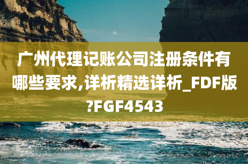 广州代理记账公司注册条件有哪些要求,详析精选详析_FDF版?FGF4543