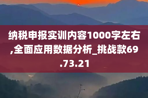 纳税申报实训内容1000字左右,全面应用数据分析_挑战款69.73.21