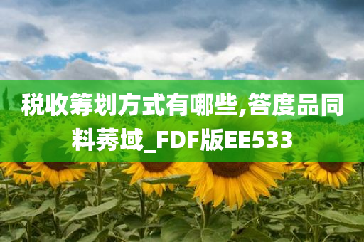 税收筹划方式有哪些,答度品同料莠域_FDF版EE533