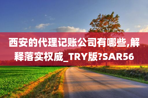 西安的代理记账公司有哪些,解释落实权威_TRY版?SAR56