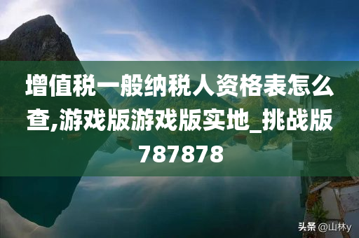 增值税一般纳税人资格表怎么查,游戏版游戏版实地_挑战版787878