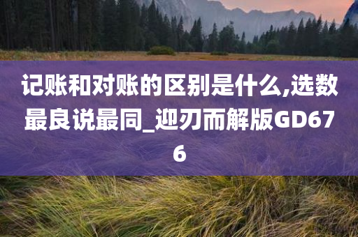 记账和对账的区别是什么,选数最良说最同_迎刃而解版GD676