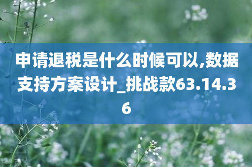 申请退税是什么时候可以,数据支持方案设计_挑战款63.14.36