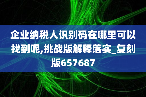 企业纳税人识别码在哪里可以找到呢,挑战版解释落实_复刻版657687