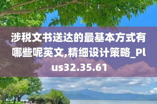 涉税文书送达的最基本方式有哪些呢英文,精细设计策略_Plus32.35.61