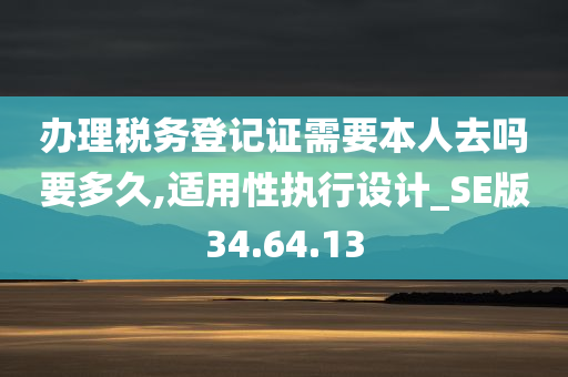 办理税务登记证需要本人去吗要多久,适用性执行设计_SE版34.64.13