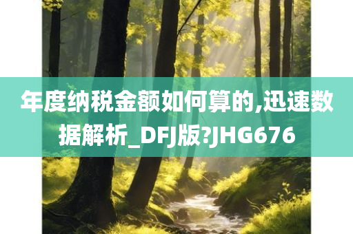 年度纳税金额如何算的,迅速数据解析_DFJ版?JHG676