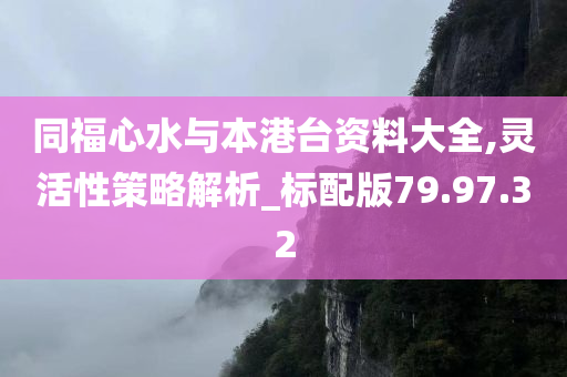 同福心水与本港台资料大全,灵活性策略解析_标配版79.97.32