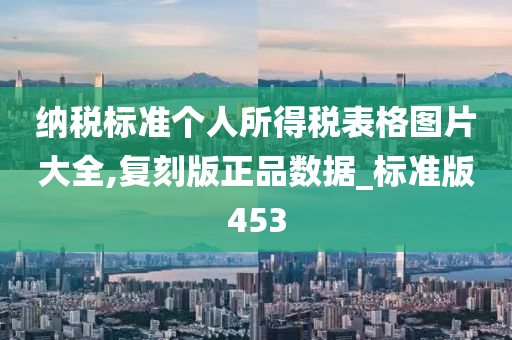 纳税标准个人所得税表格图片大全,复刻版正品数据_标准版453