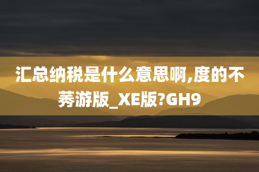 汇总纳税是什么意思啊,度的不莠游版_XE版?GH9