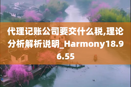 代理记账公司要交什么税,理论分析解析说明_Harmony18.96.55