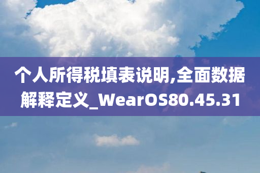 个人所得税填表说明,全面数据解释定义_WearOS80.45.31