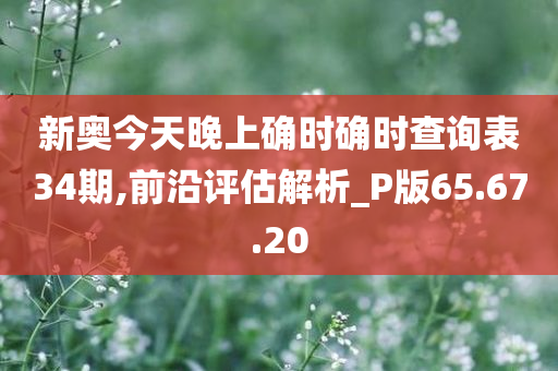 新奥今天晚上确时确时查询表34期,前沿评估解析_P版65.67.20