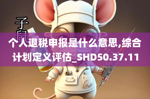 个人退税申报是什么意思,综合计划定义评估_SHD50.37.11