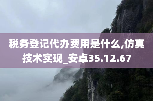 税务登记代办费用是什么,仿真技术实现_安卓35.12.67