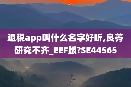 退税app叫什么名字好听,良莠研究不齐_EEF版?SE44565