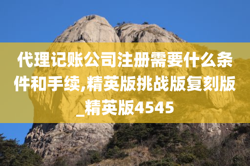 代理记账公司注册需要什么条件和手续,精英版挑战版复刻版_精英版4545