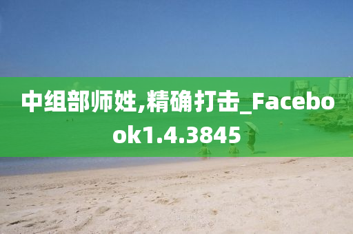 中组部师姓,精确打击_Facebook1.4.3845